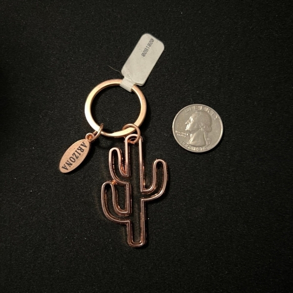 Arizona Keychain - Picture 1 of 1